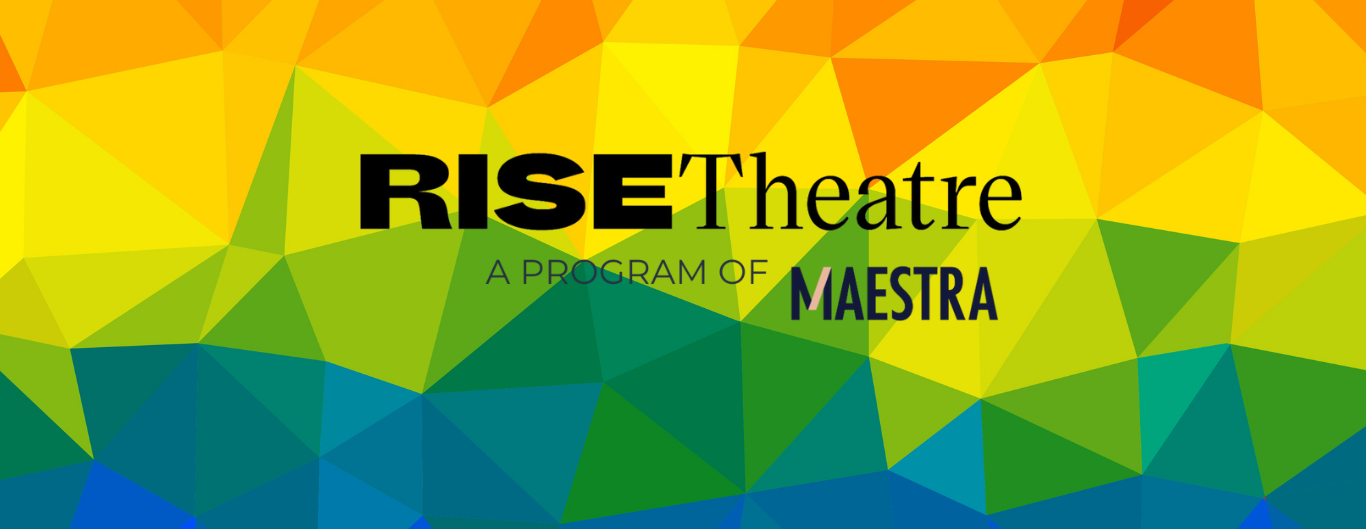 RISE Directors Workshop